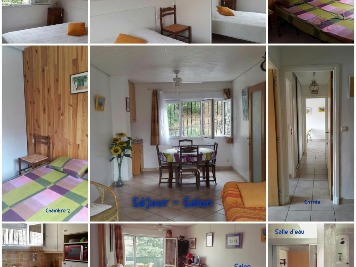 Appartement T3 Avec Wifi Et Terrasse, A 300M Du Centre Et Plage De Collioure, Dans Residence Calme. - Fr-1-309-246 外观 照片
